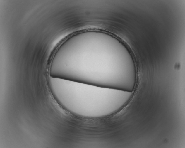 X0000110951119200906191108