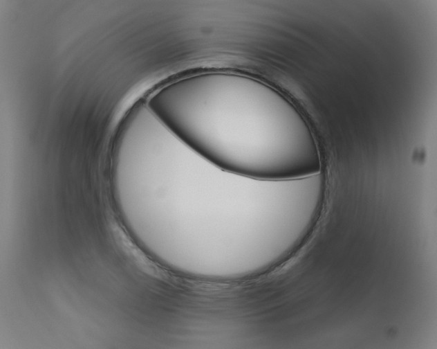 X0000110951122200906191108
