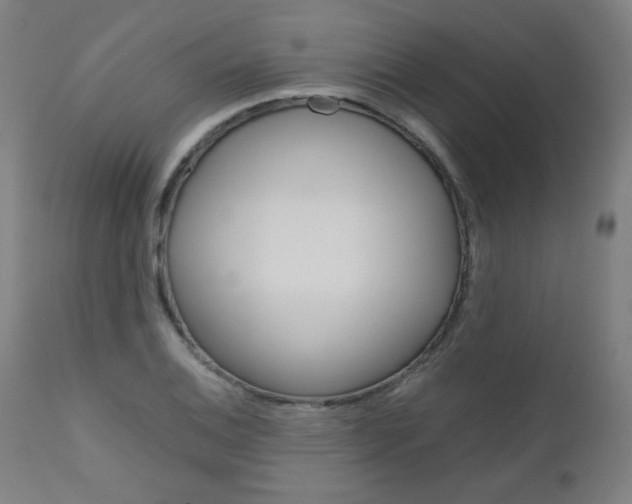X0000110951124200906191108