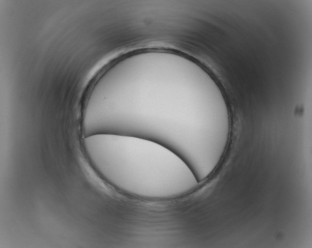 X0000110951126200906191108