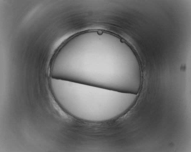X0000110951127200906191108