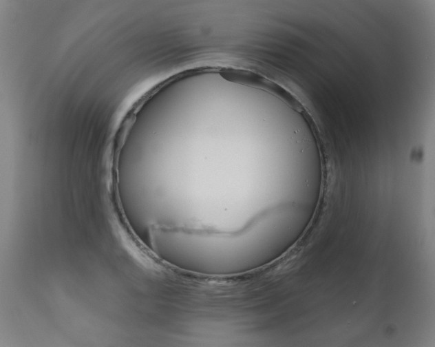 X0000110951128200906191108
