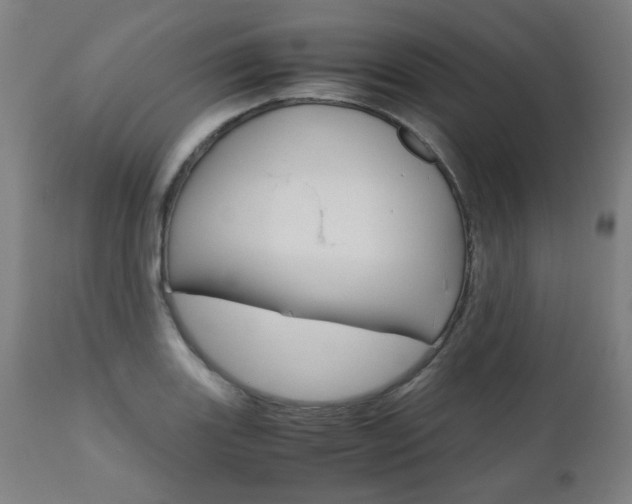 X0000110951131200906191109