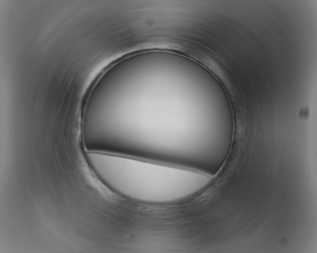 X0000110951132200906191109