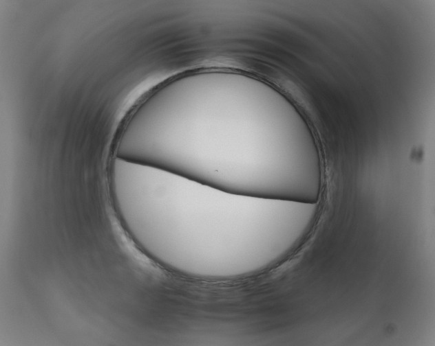 X0000110951133200906191109