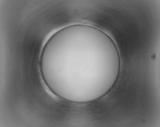 X0000110951136200906191109