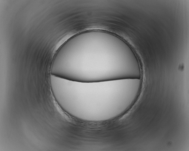 X0000110951137200906191109