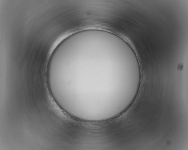 X0000110951138200906191109
