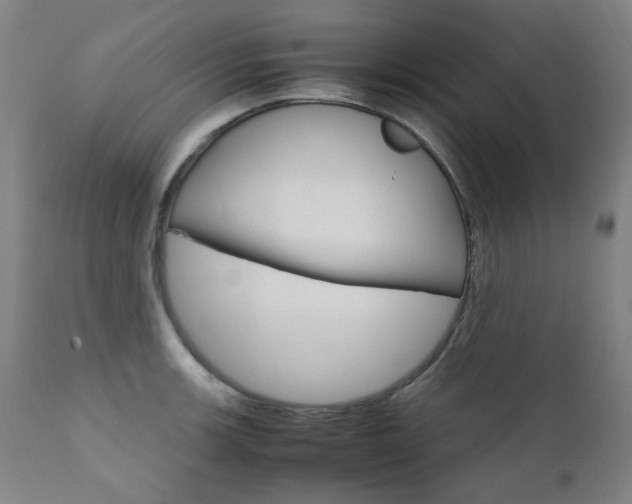 X0000110951139200906191109