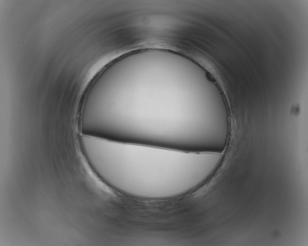 X0000110951141200906191109