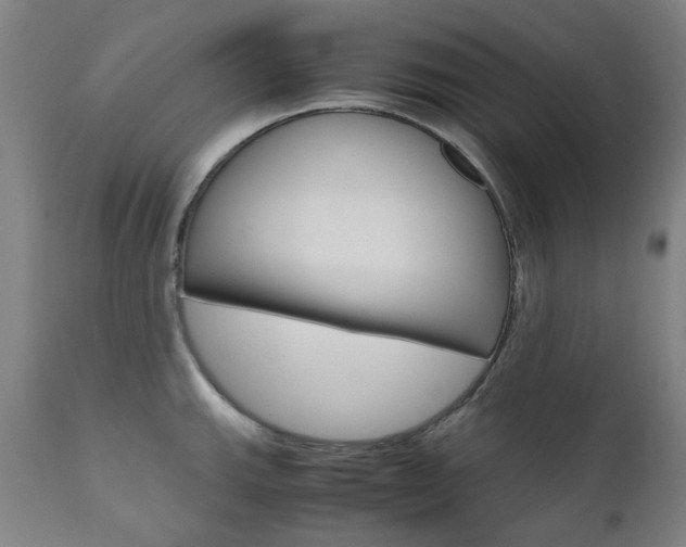 X0000110951143200906191109