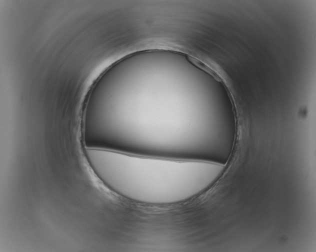 X0000110951144200906191109