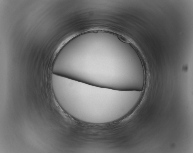 X0000110951145200906191109