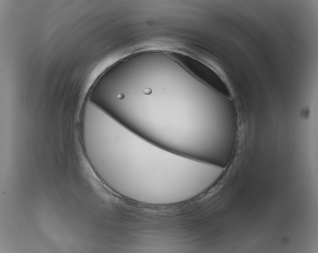 X0000110951146200906191109
