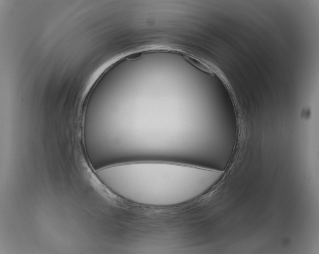 X0000110951148200906191109