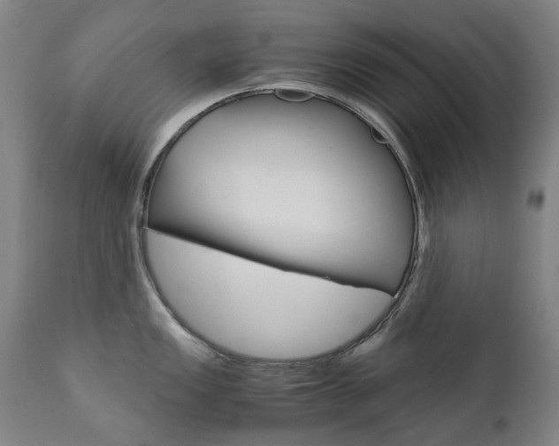 X0000110951149200906191109
