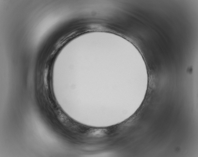X0000110951150200906191109