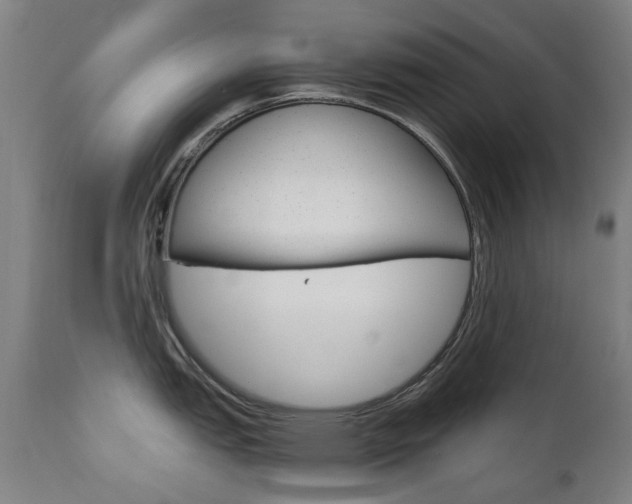 X0000110951151200906191109