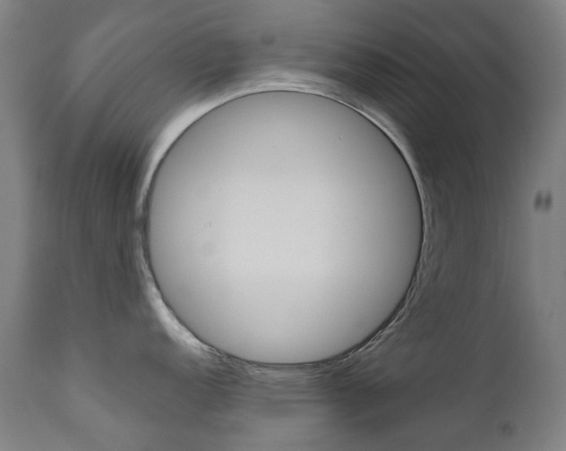 X0000110951152200906191109