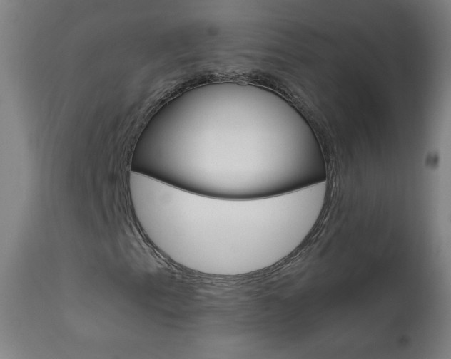 X0000110951153200906191108