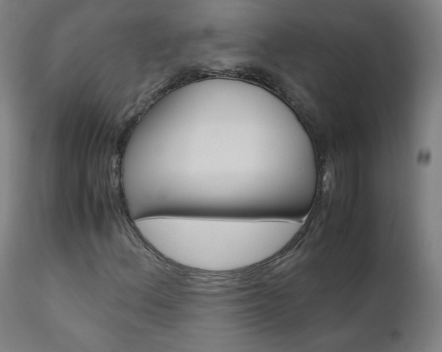 X0000110951156200906191108