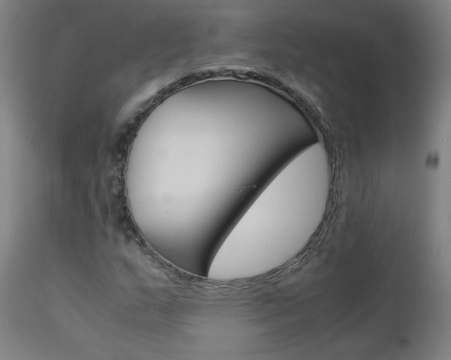 X0000110951159200906191108