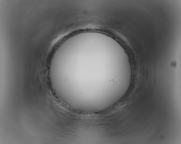 X0000110951160200906191108