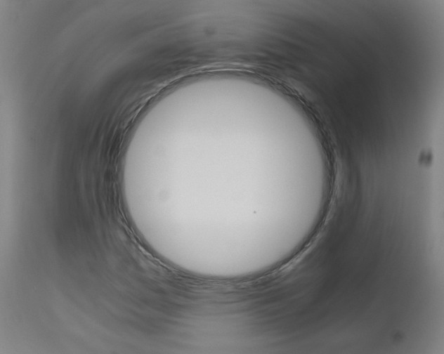 X0000110951161200906191108