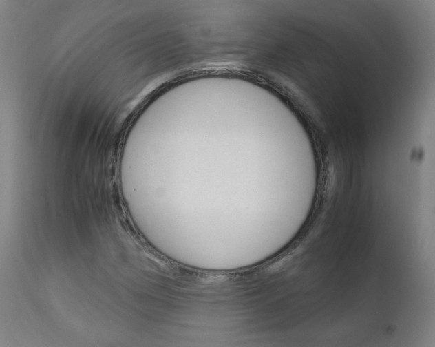 X0000110951162200906191108