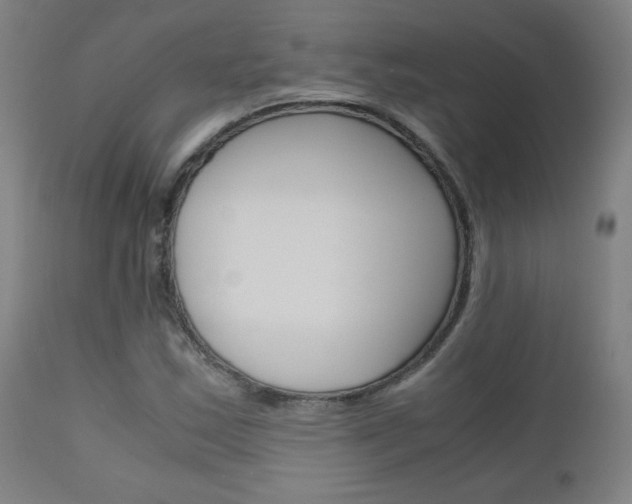 X0000110951163200906191108
