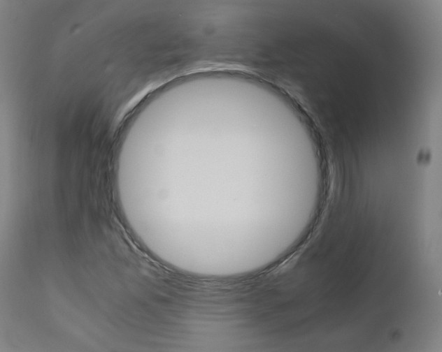 X0000110951165200906191108