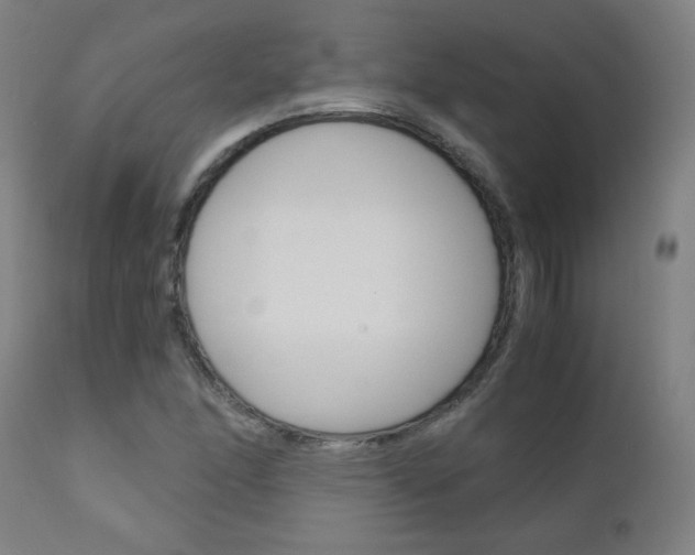 X0000110951166200906191108
