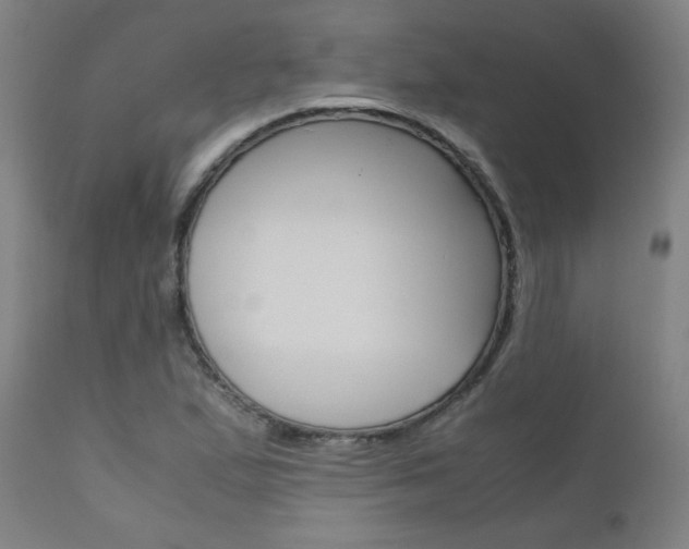 X0000110951167200906191108