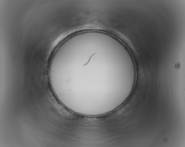 X0000110951168200906191108