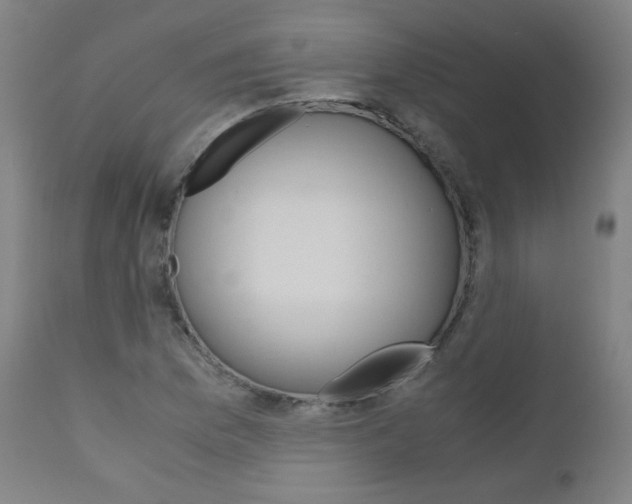 X0000110951169200906191108