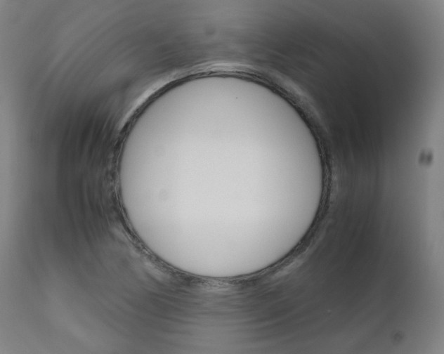 X0000110951170200906191108