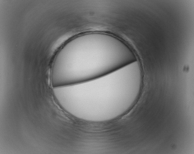 X0000110951171200906191108