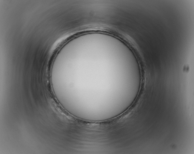 X0000110951172200906191108
