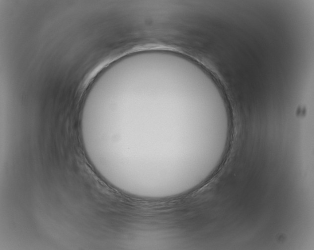 X0000110951173200906191108