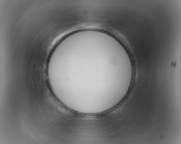 X0000110951174200906191108
