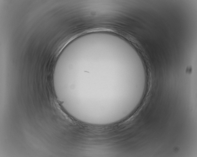X0000110951177200906191108