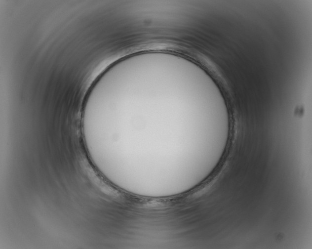 X0000110951178200906191108