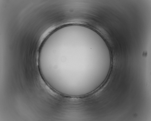 X0000110951180200906191108