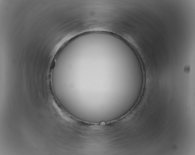 X0000110951181200906191108