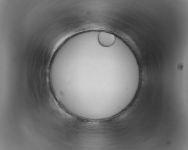X0000110951182200906191108