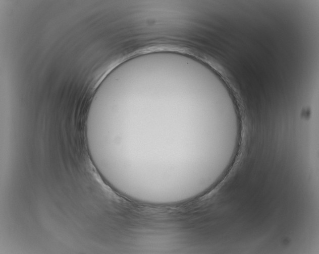 X0000110951185200906191108