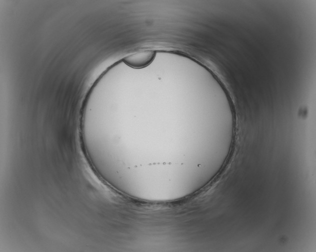 X0000110951187200906191107