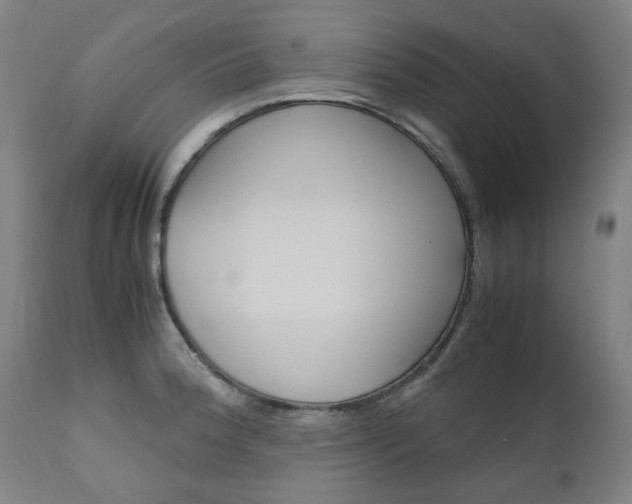 X0000110951188200906191107