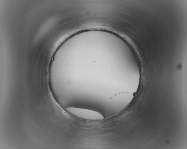 X0000110951191200906191107