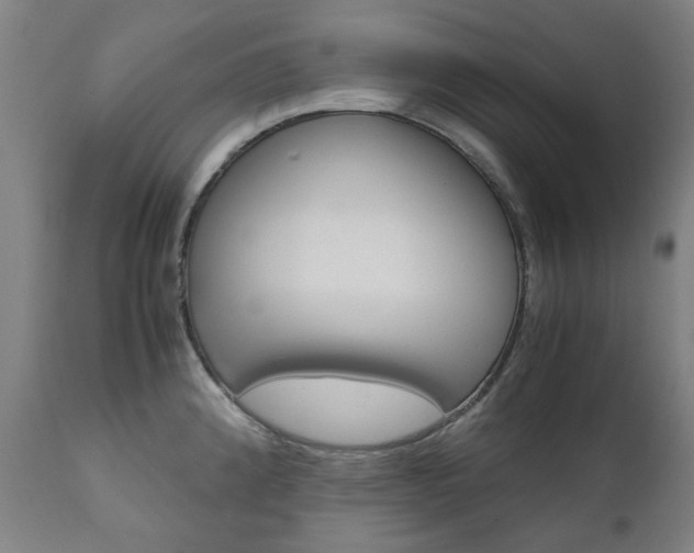 X0000110951192200906191107